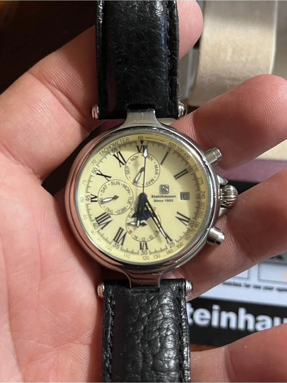 Men's Watch- Steinhausen Automatic Chronograph Watch